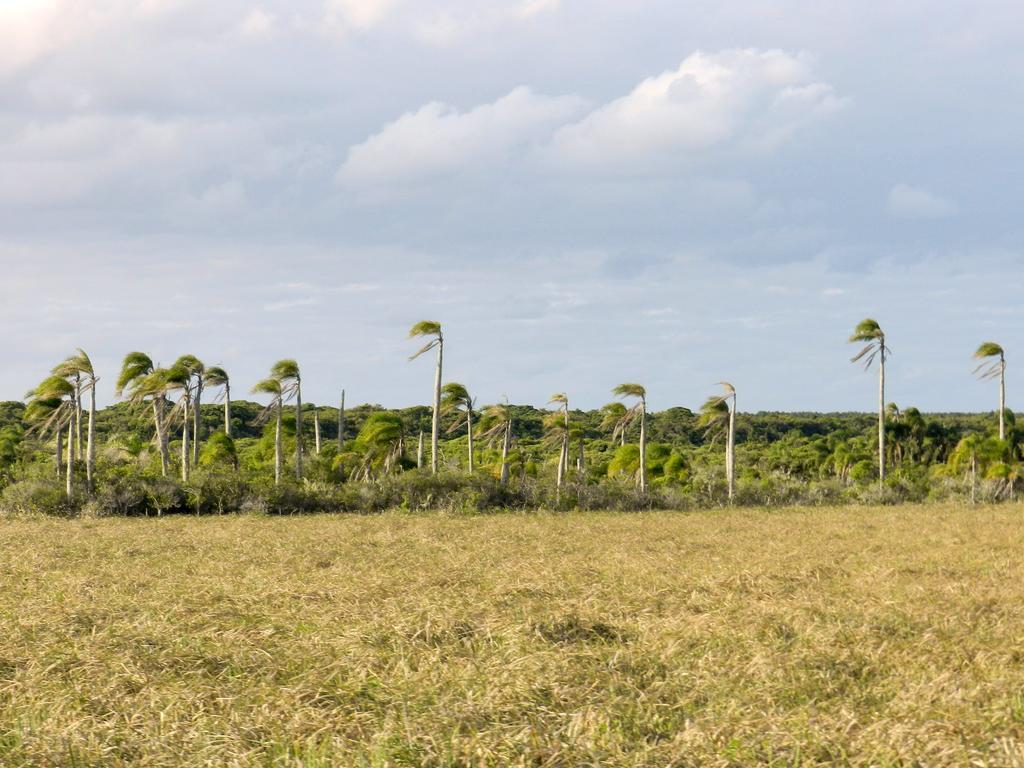 Aldeia Santuario Das Aves Tavares Экстерьер фото