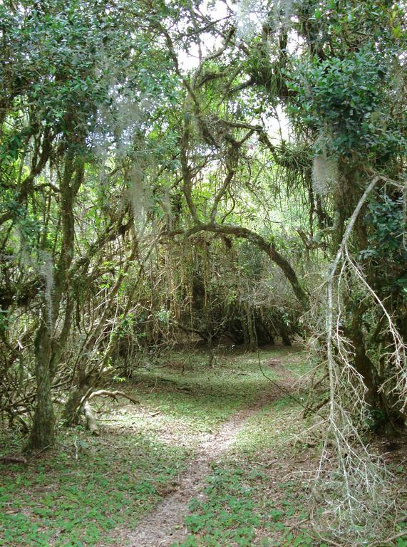 Aldeia Santuario Das Aves Tavares Экстерьер фото