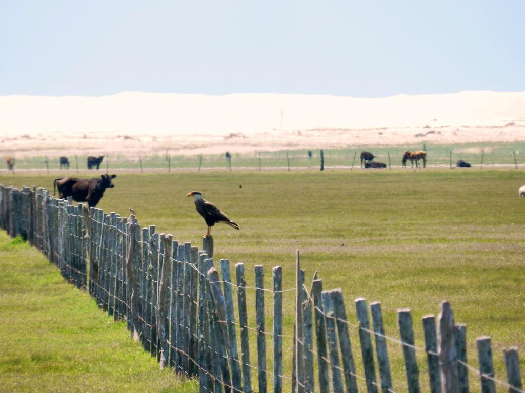 Aldeia Santuario Das Aves Tavares Экстерьер фото