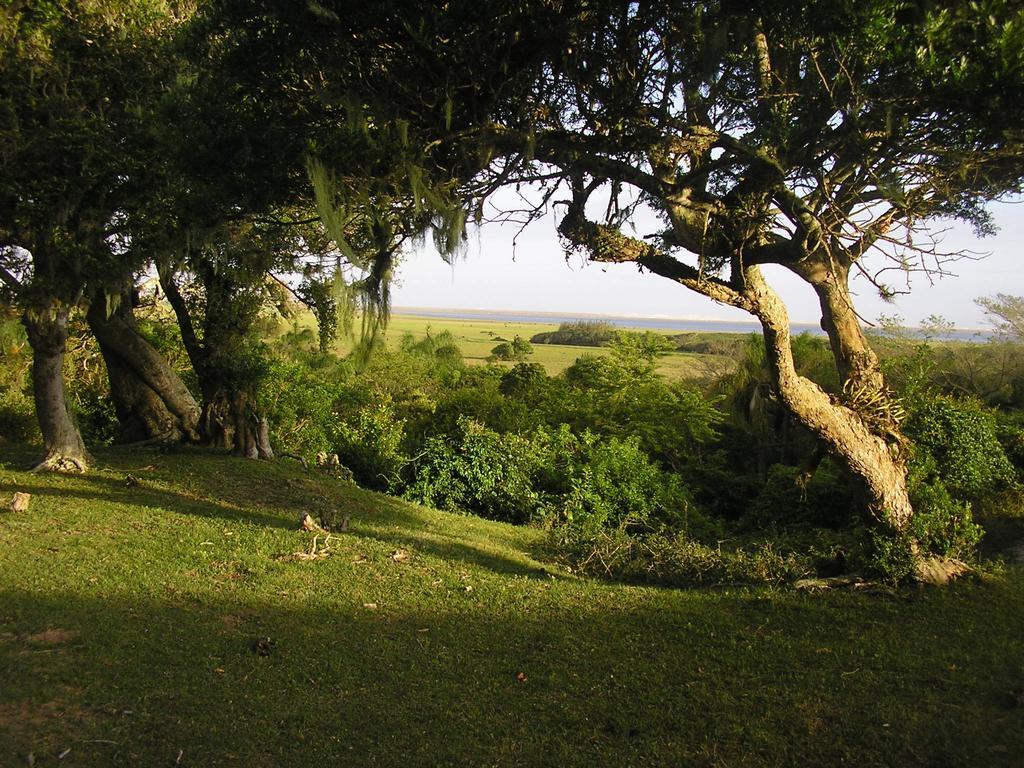 Aldeia Santuario Das Aves Tavares Экстерьер фото